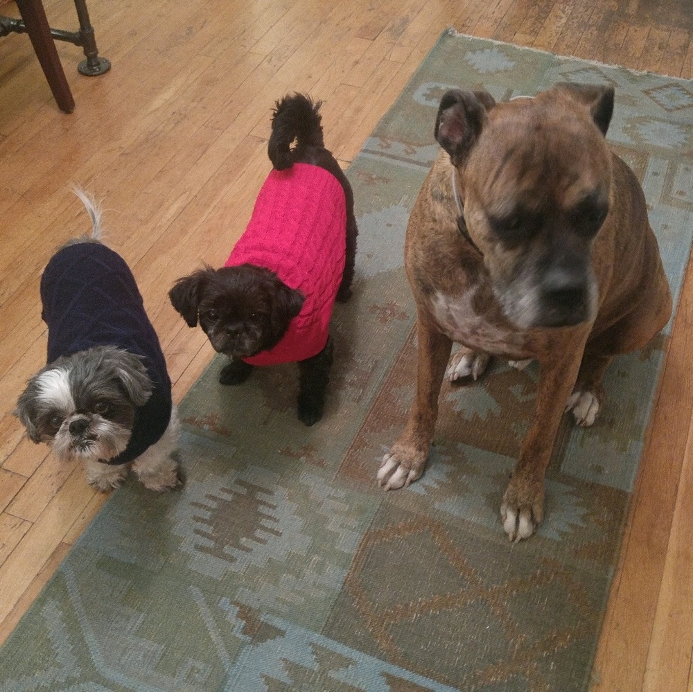 Meet your Posher, Tammy